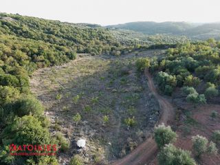 Οικόπεδο 21.500 τ.μ. για πώληση, Μεσσηνία, Αριστομένης-thumb-2