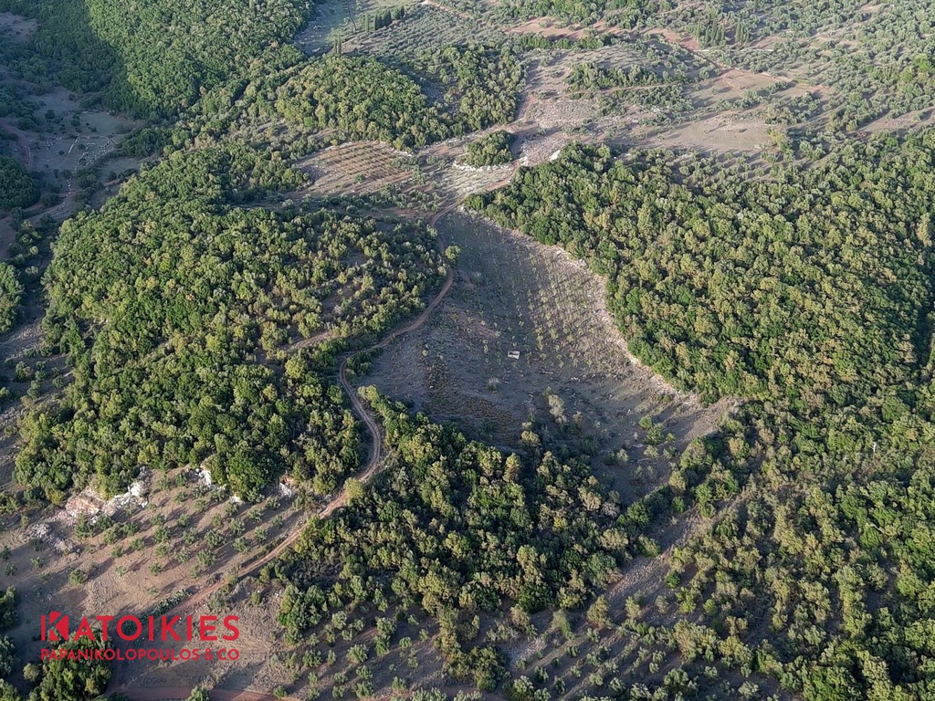 Οικόπεδο 21.500 τ.μ. για πώληση, Μεσσηνία, Αριστομένης