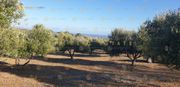 Parcel 4.515sqm for sale-Gazi