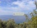 Parcel 7.000sqm for sale-Skopelos