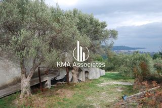 Συγκρότημα διαμερισμάτων 420 τ.μ. για πώληση, Εύβοια, Νηλέα-thumb-7