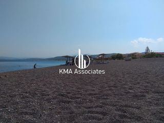 Συγκρότημα διαμερισμάτων 420 τ.μ. για πώληση, Εύβοια, Νηλέα-thumb-2