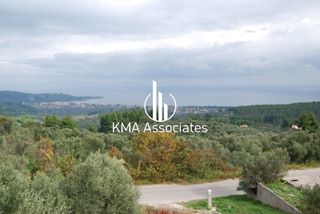 Συγκρότημα διαμερισμάτων 420 τ.μ. για πώληση, Εύβοια, Νηλέα-thumb-13