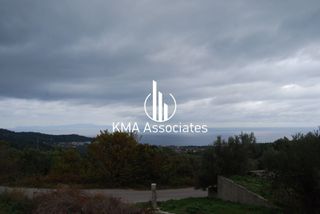 Συγκρότημα διαμερισμάτων 420 τ.μ. για πώληση, Εύβοια, Νηλέα-thumb-12
