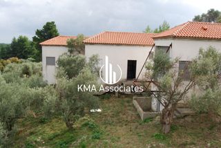 Συγκρότημα διαμερισμάτων 420 τ.μ. για πώληση, Εύβοια, Νηλέα-thumb-19
