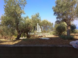 Συγκρότημα διαμερισμάτων 420 τ.μ. για πώληση, Εύβοια, Νηλέα-thumb-20