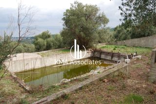 Συγκρότημα διαμερισμάτων 420 τ.μ. για πώληση, Εύβοια, Νηλέα-thumb-10