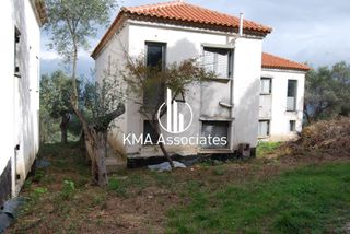 Συγκρότημα διαμερισμάτων 420 τ.μ. για πώληση, Εύβοια, Νηλέα-thumb-15