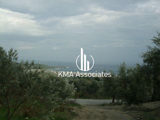 Συγκρότημα διαμερισμάτων 420 τ.μ. για πώληση, Εύβοια, Νηλέα-thumb-14