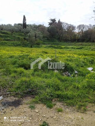 Οικόπεδο 1.111 τ.μ. για πώληση, Ζάκυνθος, Περιοχη Χώρας