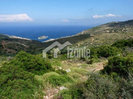 Οικόπεδο 9.900τ.μ. για πώληση-Ελάτιο