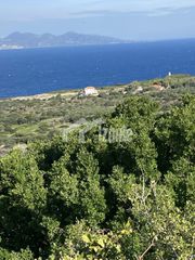 Οικόπεδο 18.500 τ.μ. για πώληση, Ζάκυνθος, Ελάτιο-thumb-6