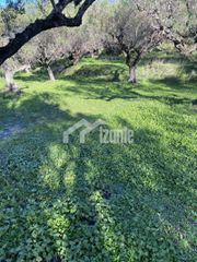 Οικόπεδο 4.000 τ.μ. για πώληση, Ζάκυνθος, Λαγανάς-thumb-2