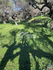 Οικόπεδο 4.000 τ.μ. για πώληση, Ζάκυνθος, Λαγανάς-thumb-6