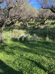 Οικόπεδο 4.000 τ.μ. για πώληση, Ζάκυνθος, Λαγανάς-thumb-5