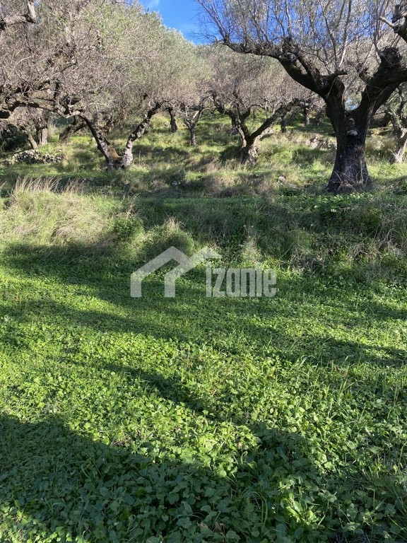 Οικόπεδο 4.000 τ.μ. προς πώληση, Λιθακιά