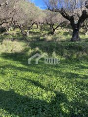 Οικόπεδο 4.000 τ.μ. για πώληση, Ζάκυνθος, Λαγανάς-thumb-3