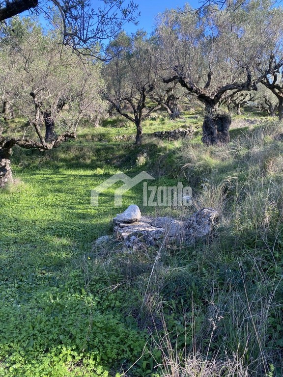 Οικόπεδο 4.000 τ.μ. προς πώληση, Λιθακιά