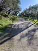 Land plot 4.000sqm for sale-Laganas