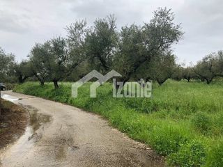 Οικόπεδο 4.800 τ.μ. για πώληση, Ζάκυνθος, Αρτεμίσιο-thumb-1