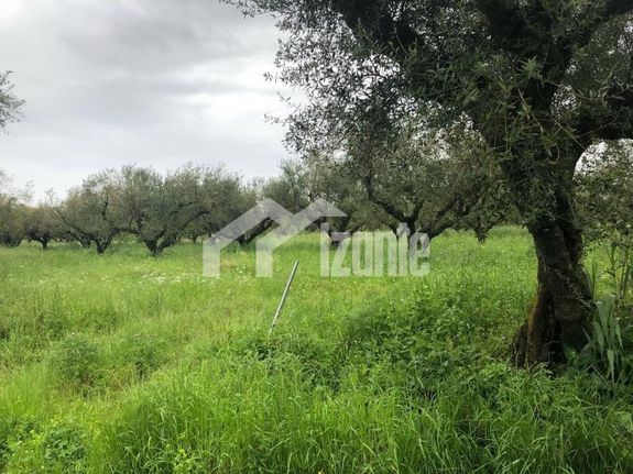 Land plot 4.800 sqm for sale, Zante, Artemisio