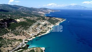 Οικόπεδο 44.000 τ.μ. για πώληση, Ζάκυνθος, Ελάτιο-thumb-6
