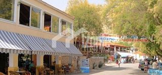 Οικόπεδο 5.300 τ.μ. για πώληση, Ζάκυνθος, Ελάτιο-thumb-13