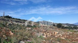 Οικόπεδο 8.400 τ.μ. για πώληση, Ζάκυνθος, Ελάτιο-thumb-1