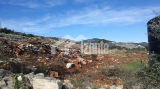 Οικόπεδο 8.400 τ.μ. για πώληση
