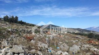 Οικόπεδο 8.400 τ.μ. για πώληση, Ζάκυνθος, Ελάτιο-thumb-2