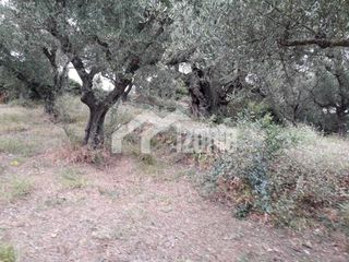 Οικόπεδο 2.700 τ.μ. για πώληση, Ζάκυνθος, Αρκάδι-thumb-2