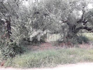 Οικόπεδο 2.700 τ.μ. για πώληση, Ζάκυνθος, Αρκάδι-thumb-3