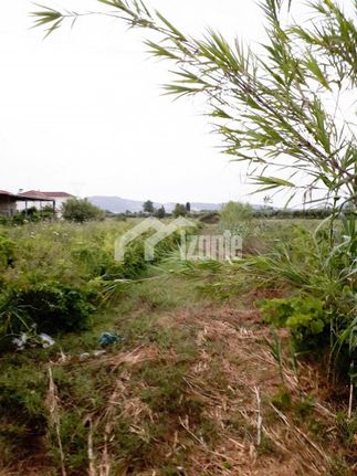 Land plot 8.200 sqm for sale, Zante, Arkadi