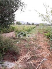 Οικόπεδο 8.200 τ.μ. για πώληση, Ζάκυνθος, Αρκάδι-thumb-2