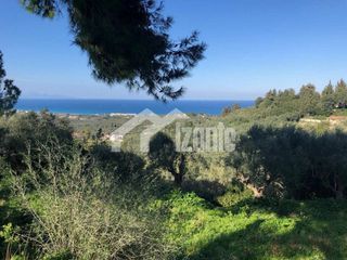 Οικόπεδο 1.900 τ.μ. για πώληση