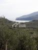 Land plot 40.000sqm for sale-Laganas