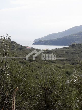 Οικόπεδο 40.000 τ.μ. για πώληση, Ζάκυνθος, Λαγανάς