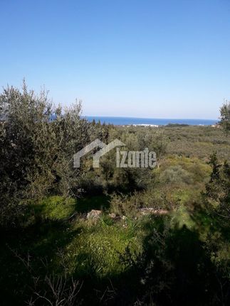 Land plot 11.300 sqm for sale, Zante, Main Town Area