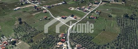 Οικόπεδο 10.000τ.μ. για πώληση-Περιοχη χώρας