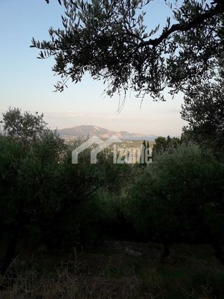Οικόπεδο 4.200 τ.μ. για πώληση, Ζάκυνθος, Λαγανάς