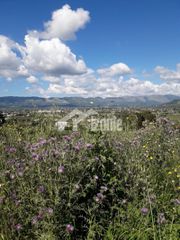 Οικόπεδο 12.195 τ.μ. για πώληση, Ζάκυνθος, Περιοχη Χώρας-thumb-1
