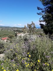 Οικόπεδο 12.195 τ.μ. για πώληση, Ζάκυνθος, Περιοχη Χώρας-thumb-2