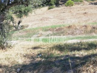 Οικόπεδο 3.000 τ.μ. πρός πώληση, Ζάκυνθος, Αλυκές-thumb-7