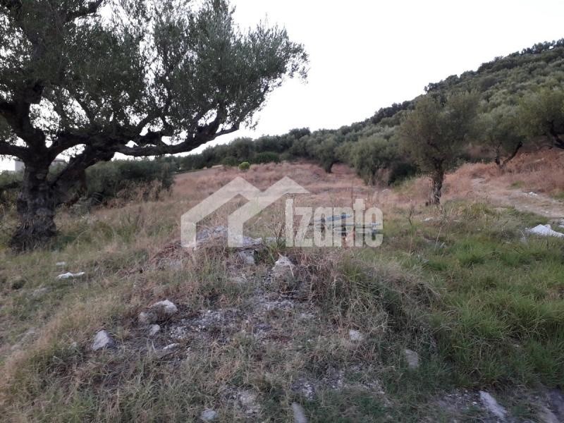 Land plot 3.000 sqm for sale, Zante, Alikes
