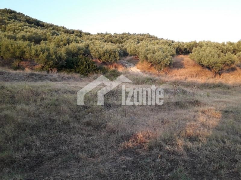 Land plot 3.000 sqm for sale, Zante, Alikes
