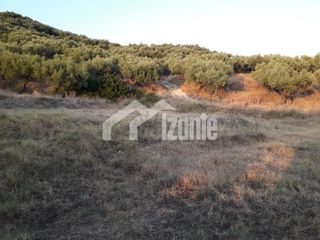 Οικόπεδο 3.000 τ.μ. πρός πώληση, Ζάκυνθος, Αλυκές-thumb-4