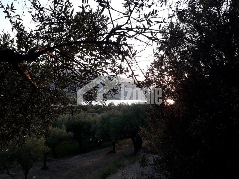 Land plot 3.000 sqm for sale, Zante, Alikes