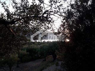 Οικόπεδο 3.000 τ.μ. πρός πώληση, Ζάκυνθος, Αλυκές-thumb-1