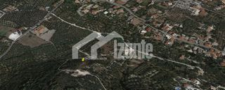 Οικόπεδο 6.500 τ.μ. για πώληση
