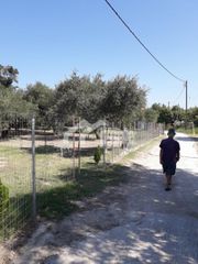 Οικόπεδο 1.200 τ.μ. για πώληση, Ζάκυνθος, Περιοχη Χώρας-thumb-2